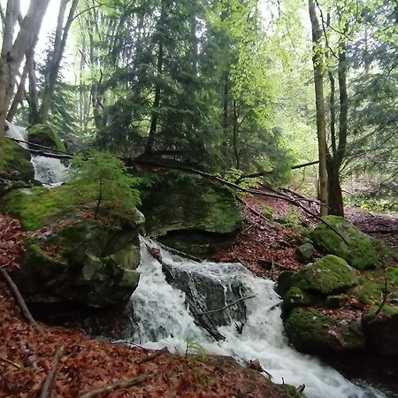 La Fortance Paradis Naturel - Proche De La Ville Planfoy Exteriér fotografie