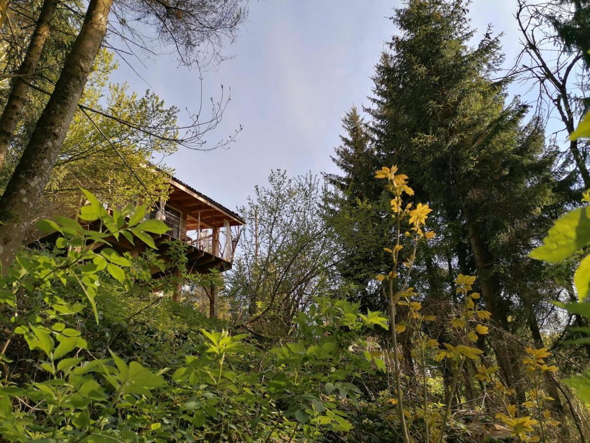 La Fortance Paradis Naturel - Proche De La Ville Planfoy Exteriér fotografie