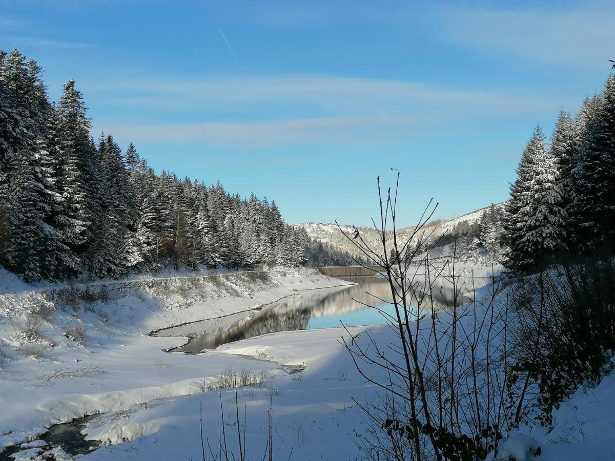 La Fortance Paradis Naturel - Proche De La Ville Planfoy Exteriér fotografie