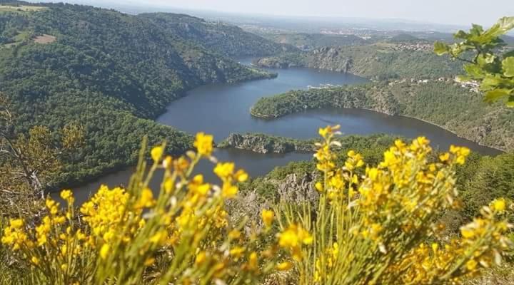 La Fortance Paradis Naturel - Proche De La Ville Planfoy Exteriér fotografie