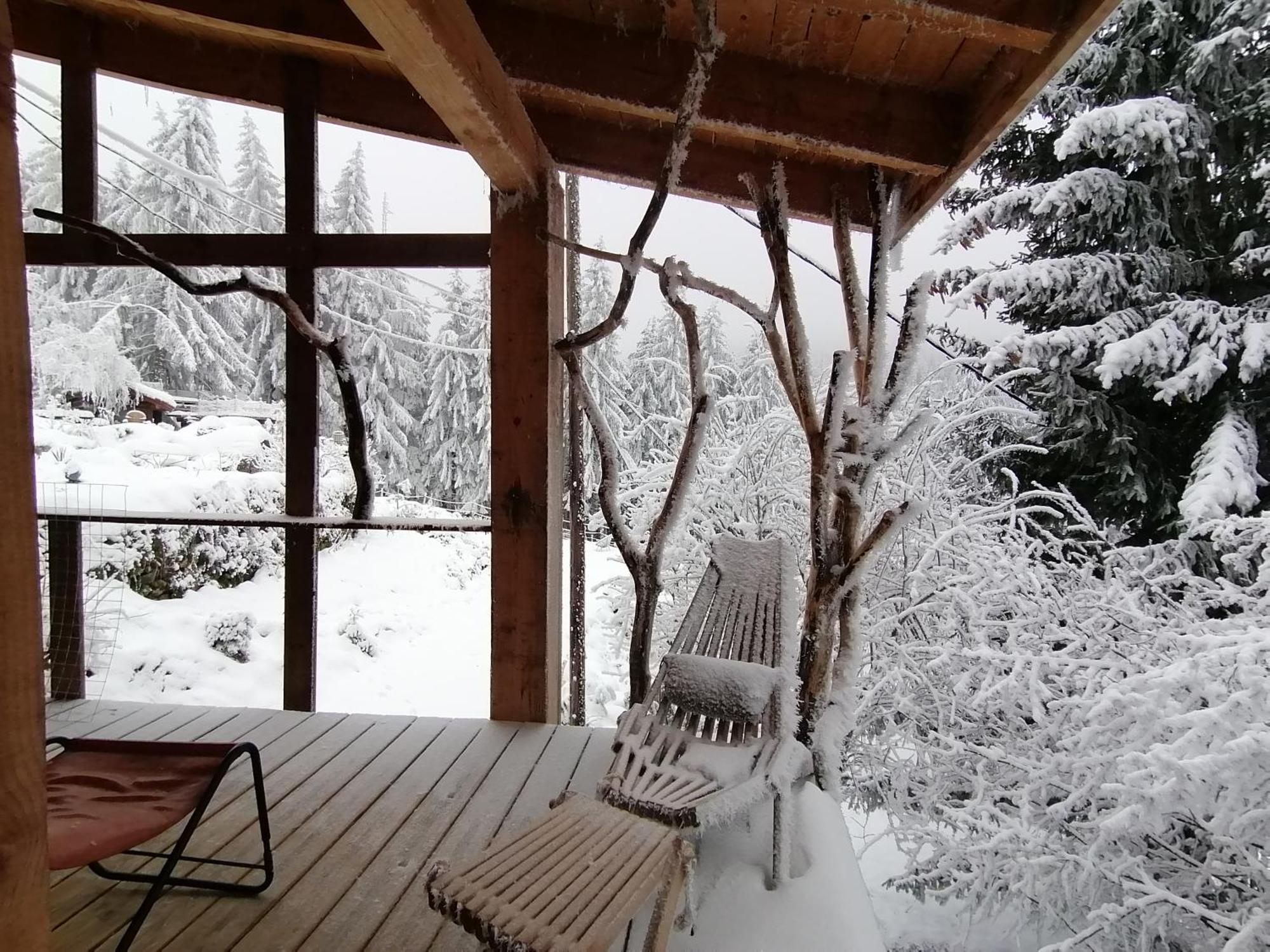 La Fortance Paradis Naturel - Proche De La Ville Planfoy Exteriér fotografie
