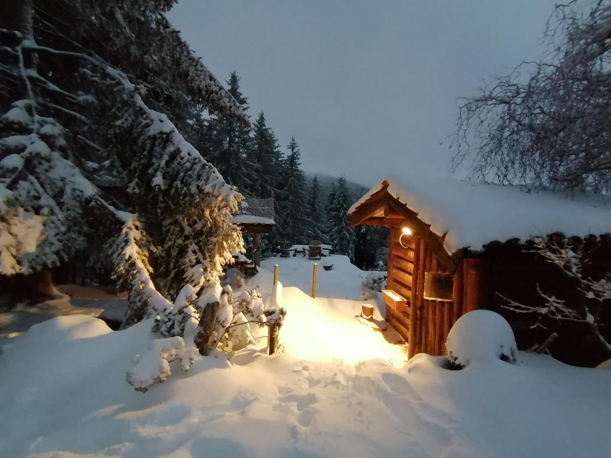 La Fortance Paradis Naturel - Proche De La Ville Planfoy Exteriér fotografie