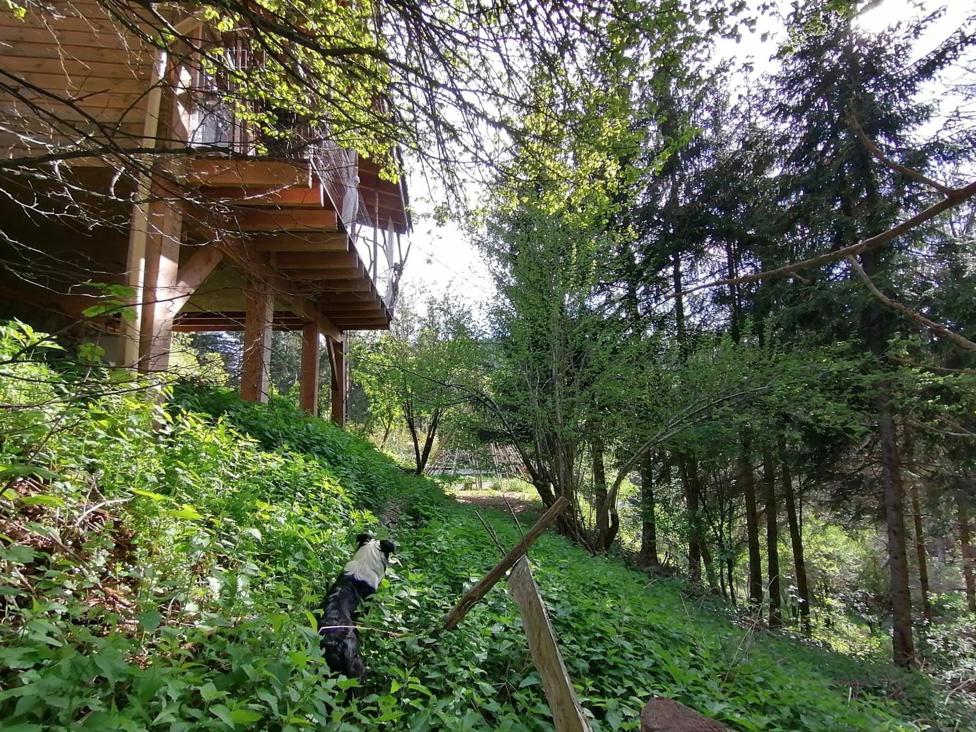 La Fortance Paradis Naturel - Proche De La Ville Planfoy Pokoj fotografie