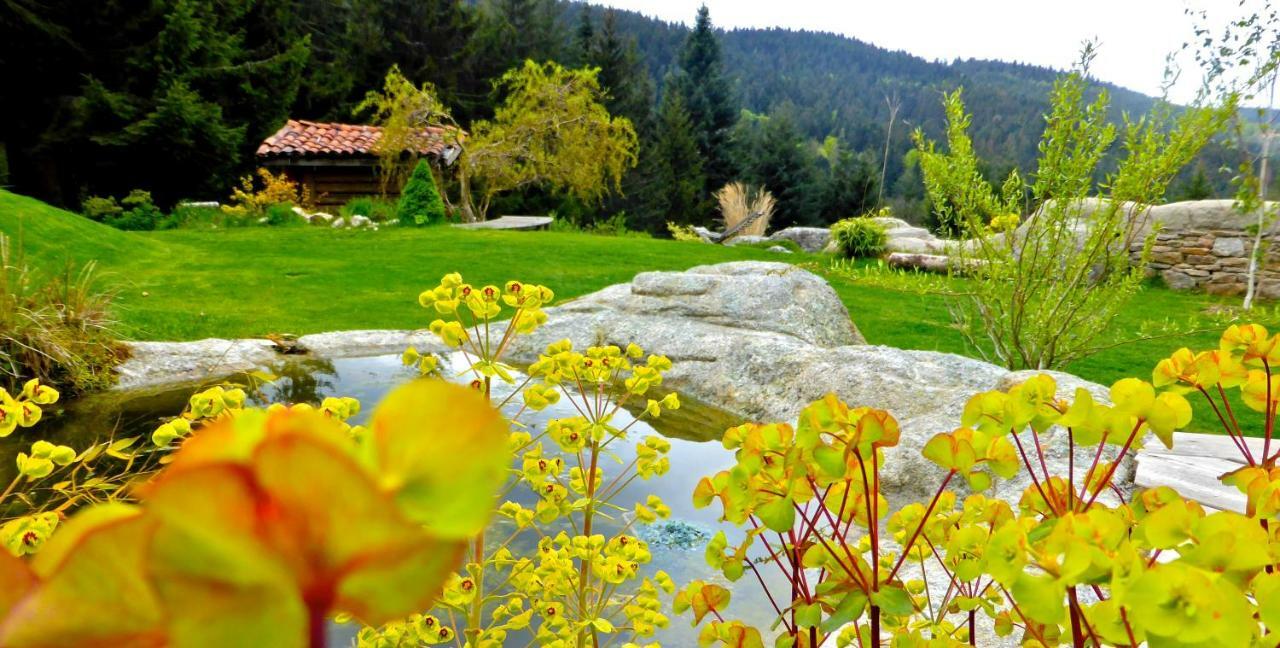 La Fortance Paradis Naturel - Proche De La Ville Planfoy Exteriér fotografie