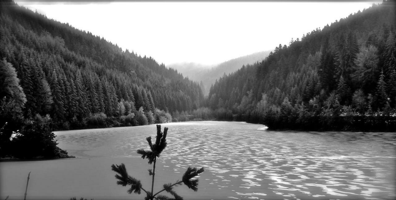 La Fortance Paradis Naturel - Proche De La Ville Planfoy Exteriér fotografie