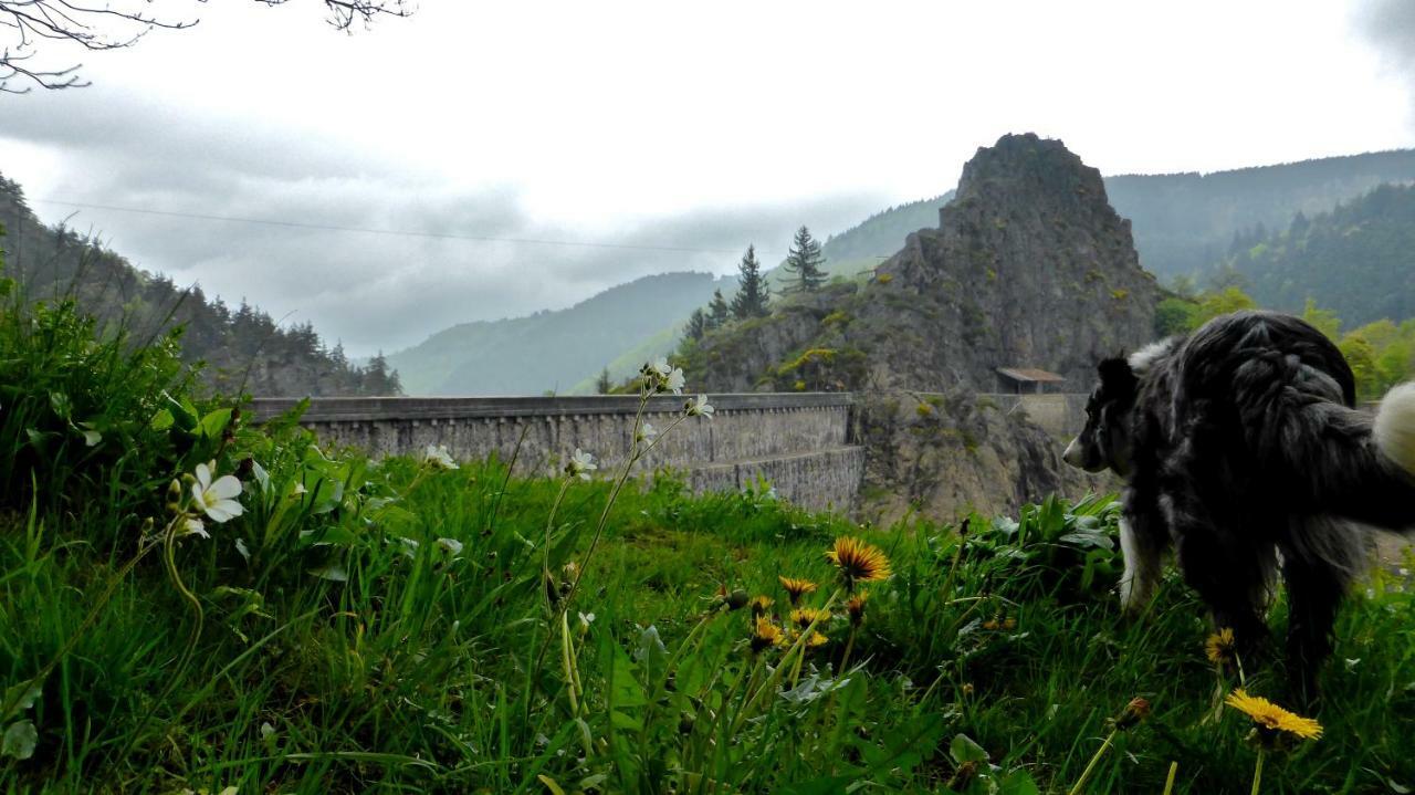 La Fortance Paradis Naturel - Proche De La Ville Planfoy Exteriér fotografie